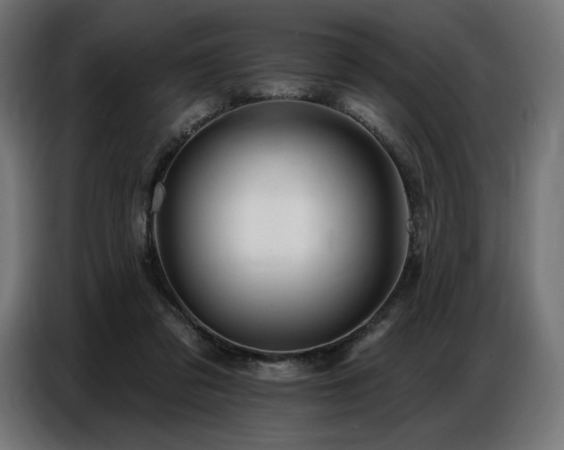 X0000086880309200704161227