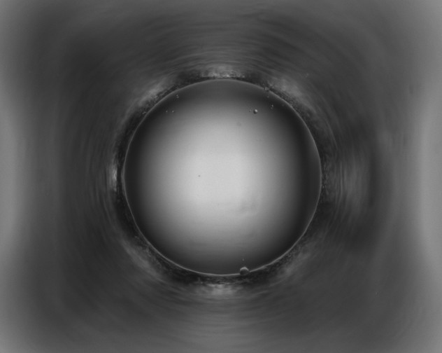 X0000086880310200704161227