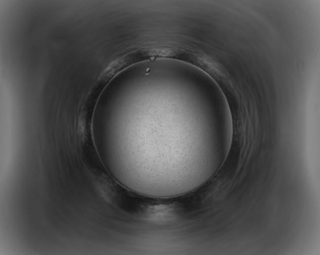 X0000086880312200704161227