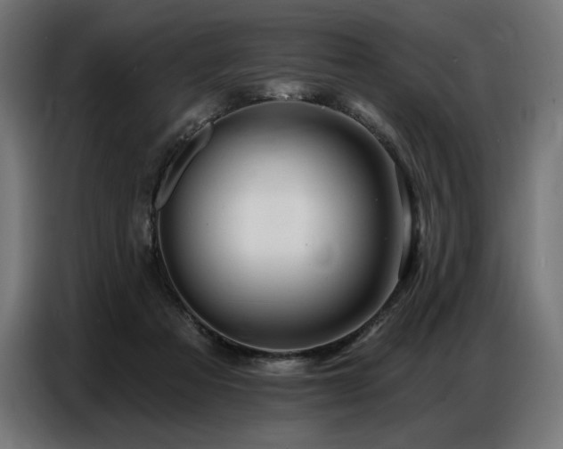 X0000086880313200704161227