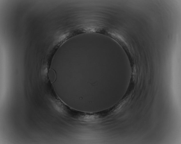 X0000086880314200704161227