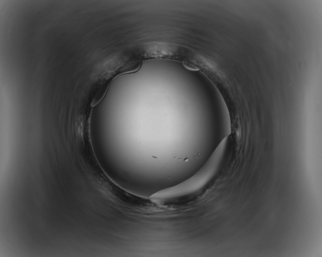 X0000086880315200704161227