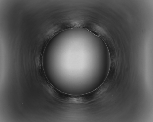 X0000086880317200704161227