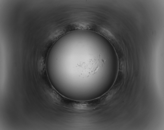 X0000086880318200704161227