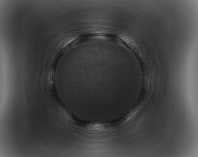 X0000086880325200704161227