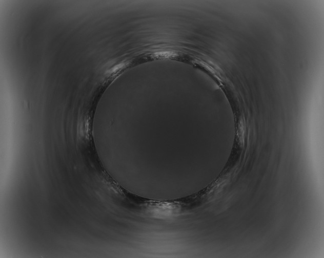 X0000086880330200704161227