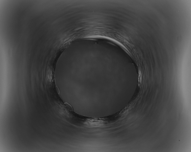 X0000086880331200704161227