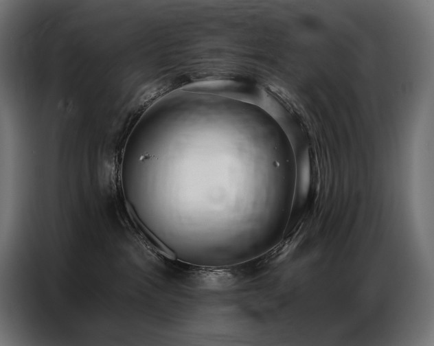 X0000086880333200704161227