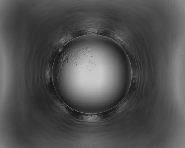 X0000086880334200704161227