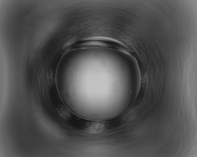 X0000086880335200704161227