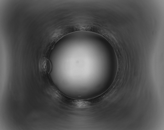 X0000086880336200704161227