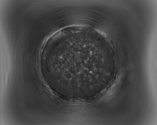 X0000086880337200704161226