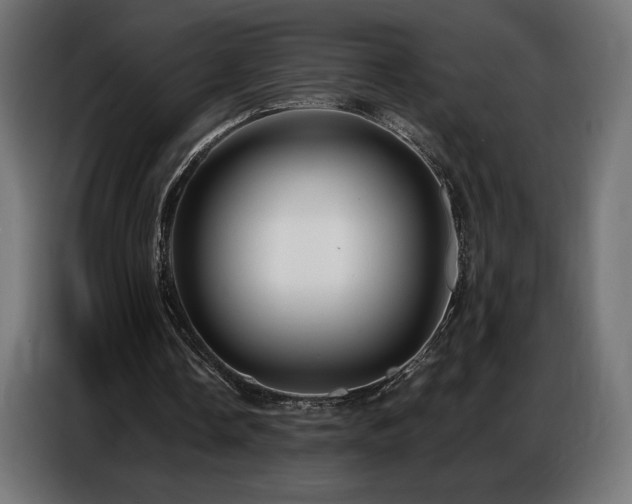 X0000086880338200704161226