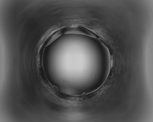 X0000086880339200704161226