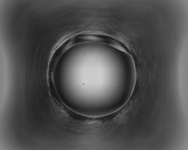 X0000086880340200704161226