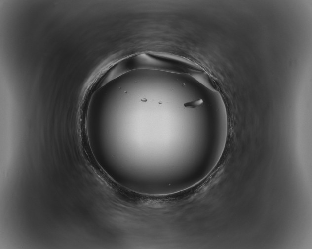 X0000086880341200704161226