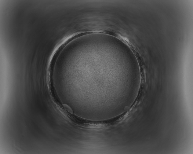 X0000086880342200704161226