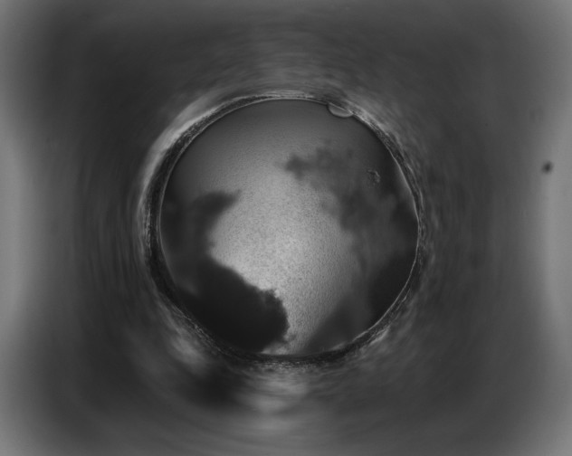 X0000086880343200704161226