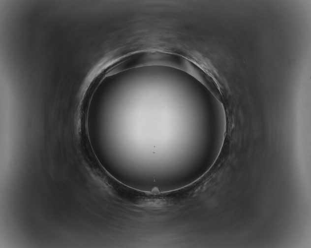 X0000086880344200704161226