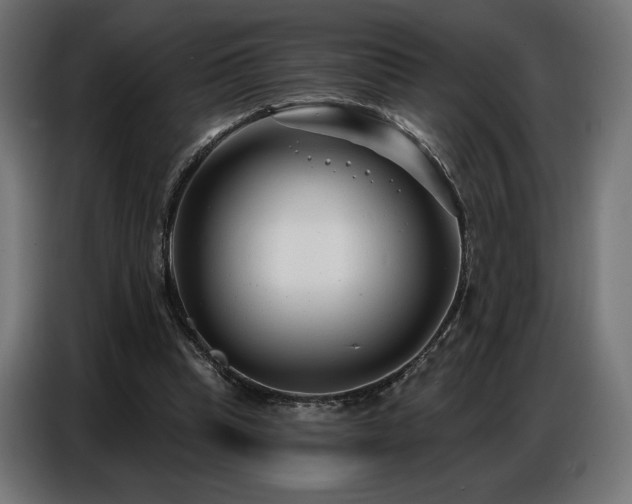 X0000086880345200704161226