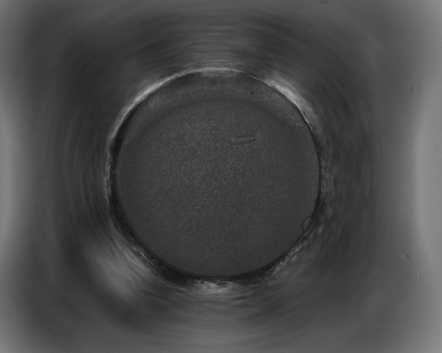 X0000086880346200704161226