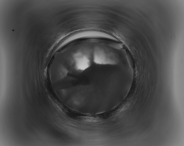 X0000086880347200704161226