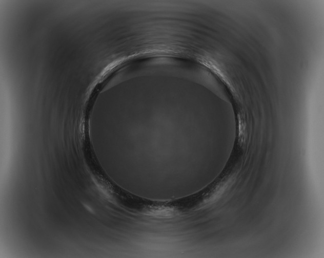 X0000086880348200704161226