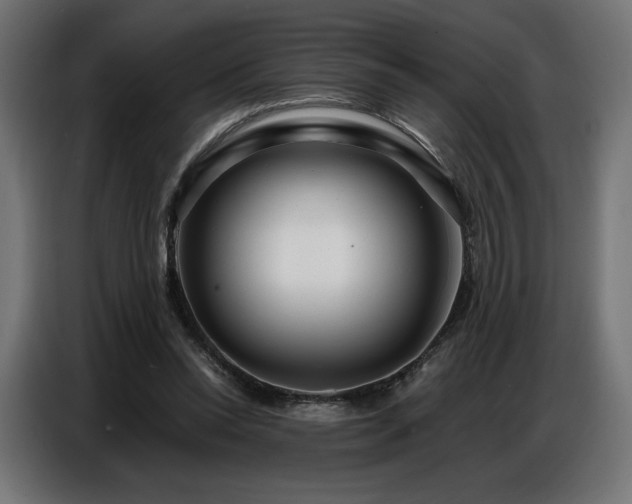 X0000086880350200704161226