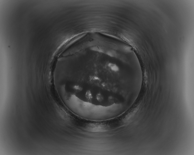 X0000086880351200704161226