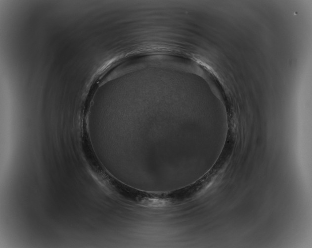 X0000086880352200704161226