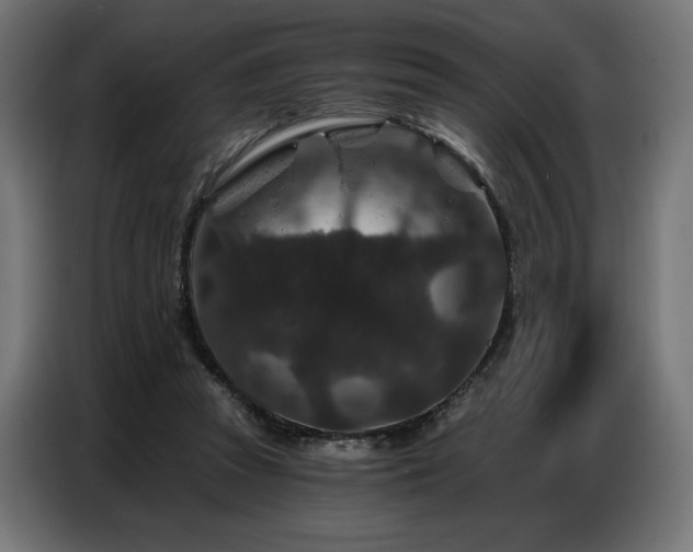 X0000086880353200704161226