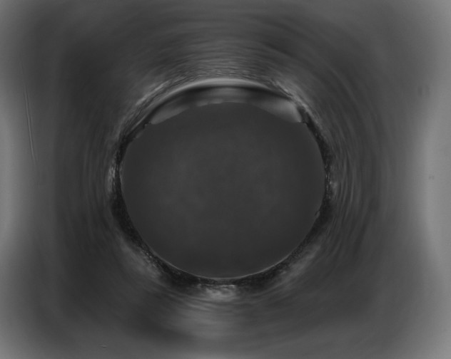 X0000086880355200704161226