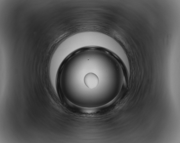 X0000086880356200704161226