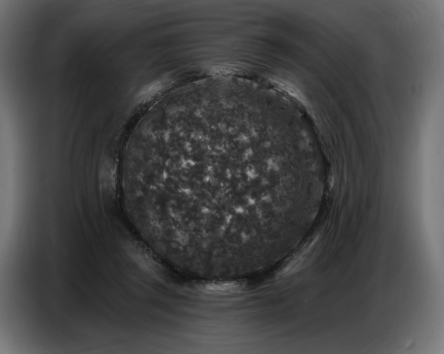 X0000086880357200704161226