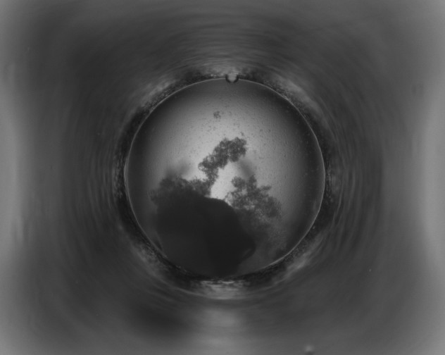 X0000086880359200704161227