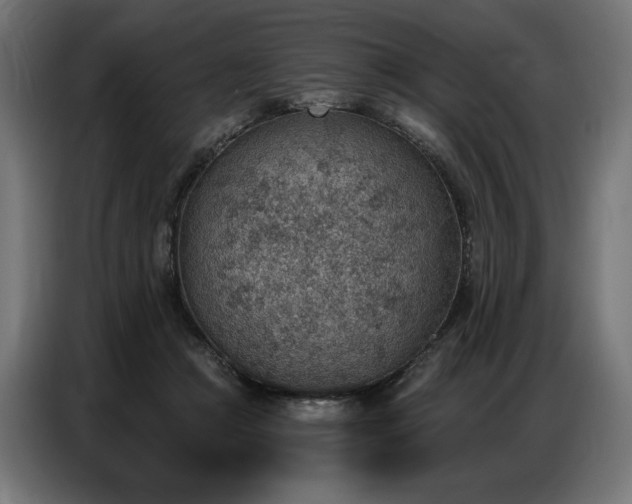 X0000086880361200704161227