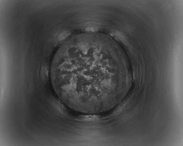 X0000086880363200704161227