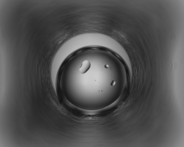 X0000086880364200704161227