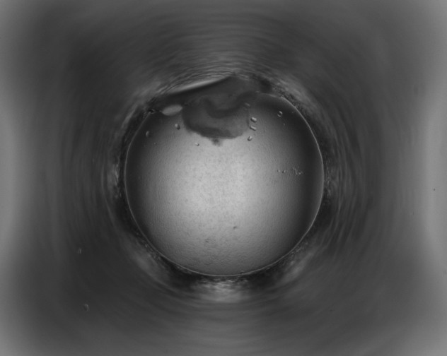 X0000086880365200704161227