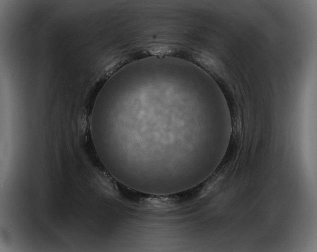 X0000086880367200704161227