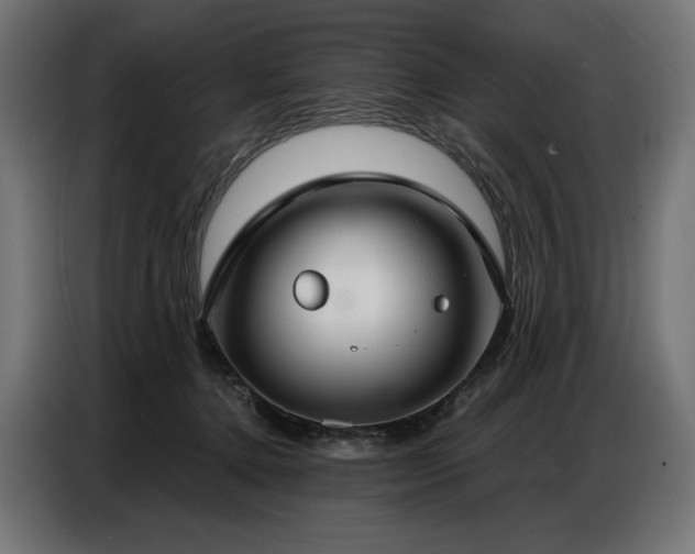 X0000086880368200704161227