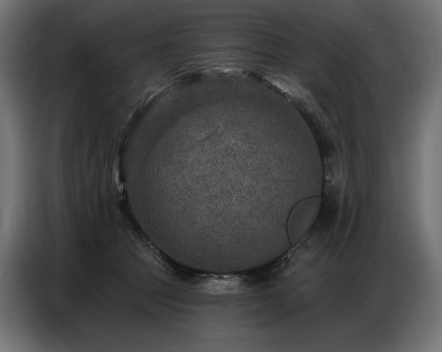 X0000086880369200704161227