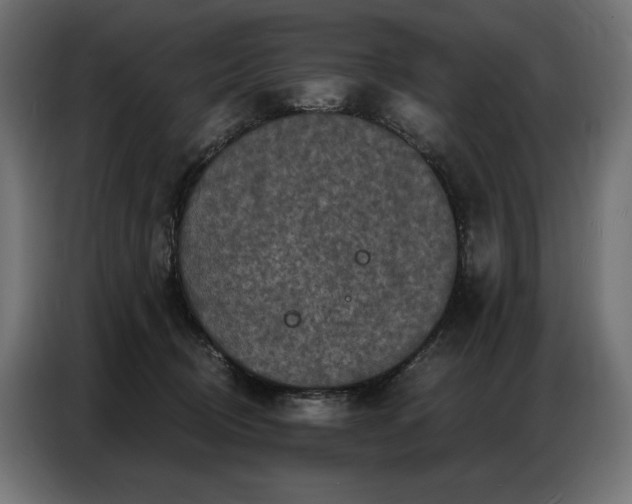 X0000086880370200704161227