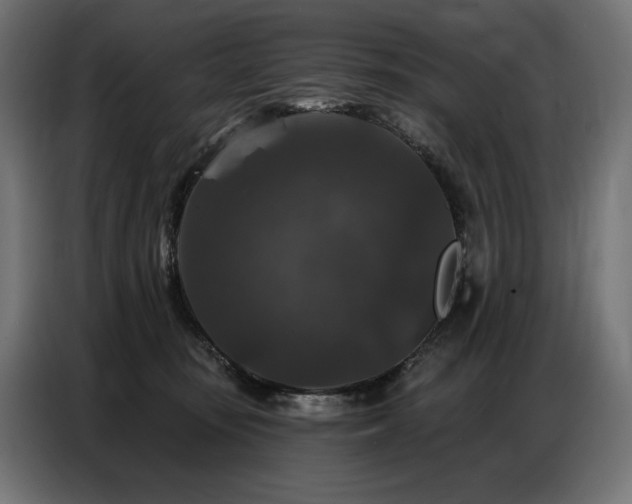 X0000086880371200704161227