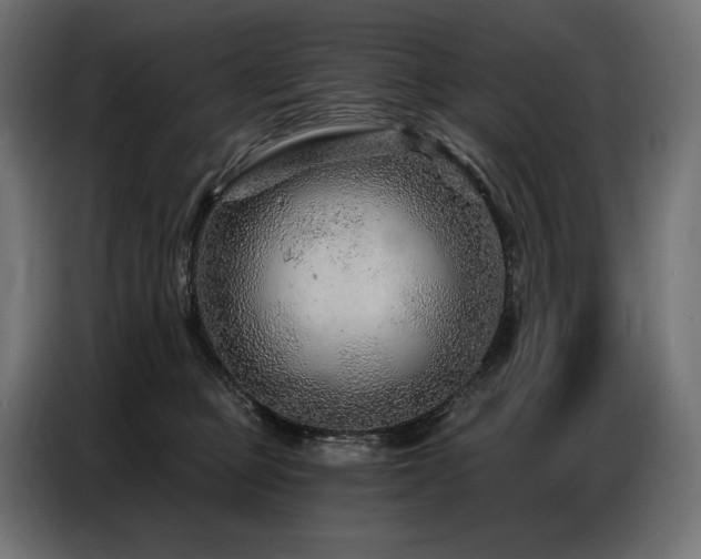 X0000086880373200704161227