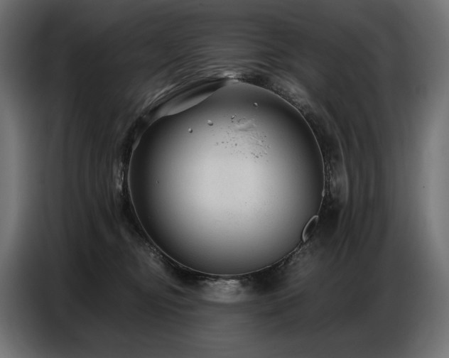 X0000086880374200704161227