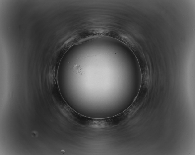 X0000086880376200704161227