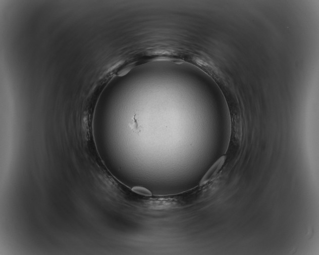 X0000086880378200704161227