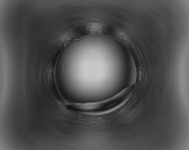 X0000086880379200704161227