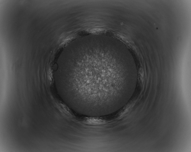 X0000086880380200704161227